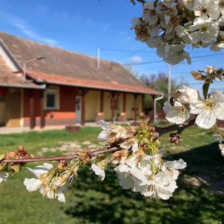 Ferienwohnung Tiszavirag Vendeghaz Tiszacsege Exterior foto